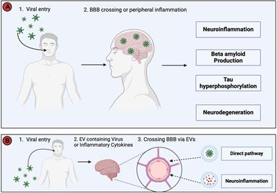 Alzheimer’s disease and its treatment–yesterday, today, and tomorrow